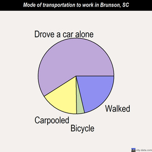 Brunson mode of transportation to work chart