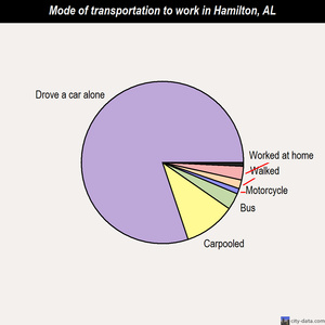 Hamilton mode of transportation to work chart