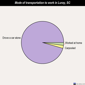 Luray mode of transportation to work chart