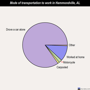Hammondville mode of transportation to work chart
