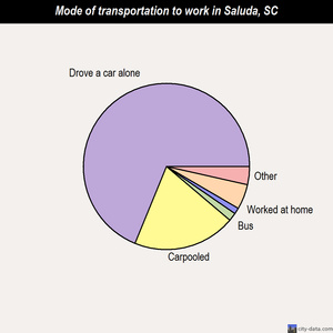 Saluda mode of transportation to work chart