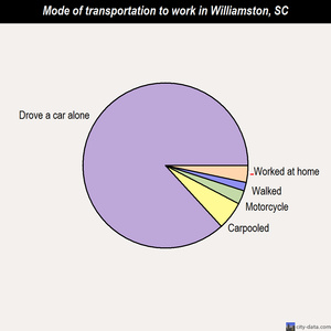 Williamston mode of transportation to work chart