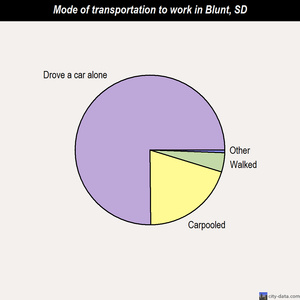Blunt mode of transportation to work chart
