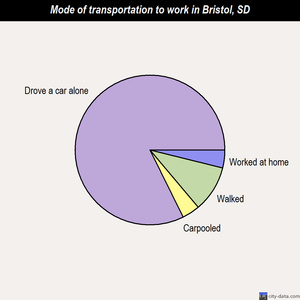 Bristol mode of transportation to work chart