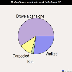 Bullhead mode of transportation to work chart