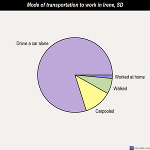 Irene mode of transportation to work chart