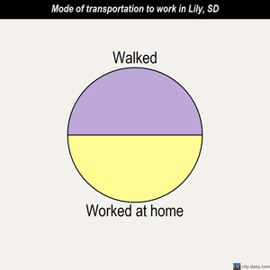 Lily mode of transportation to work chart
