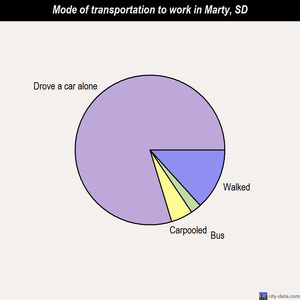 Marty mode of transportation to work chart
