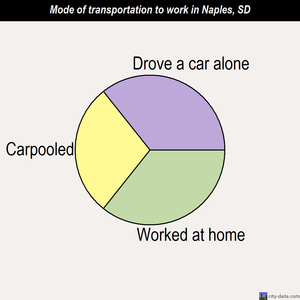 Naples mode of transportation to work chart
