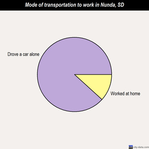 Nunda mode of transportation to work chart
