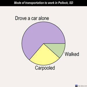 Pollock mode of transportation to work chart