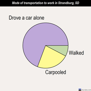 Strandburg mode of transportation to work chart