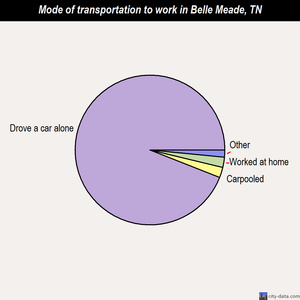Belle Meade mode of transportation to work chart
