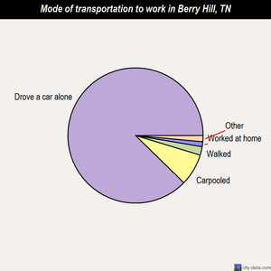 Berry Hill mode of transportation to work chart