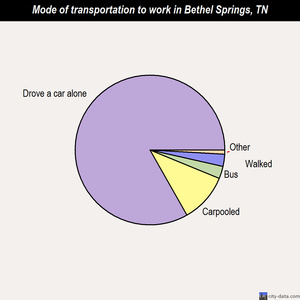 Bethel Springs mode of transportation to work chart