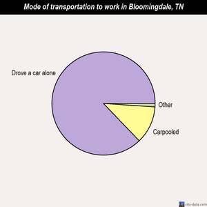 Bloomingdale mode of transportation to work chart