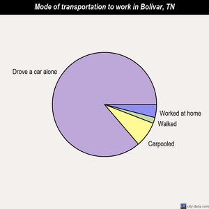 Bolivar mode of transportation to work chart