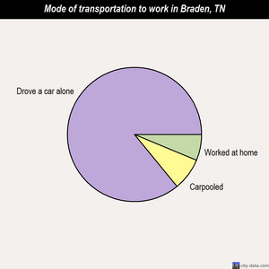 Braden mode of transportation to work chart