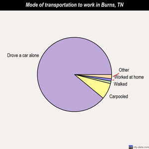 Burns mode of transportation to work chart