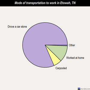 Etowah mode of transportation to work chart