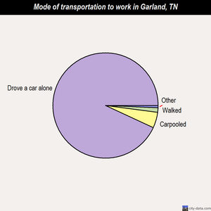 Garland mode of transportation to work chart