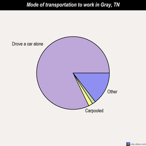 Gray mode of transportation to work chart
