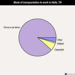 Halls mode of transportation to work chart