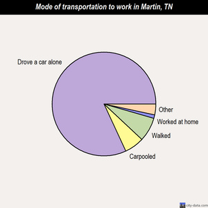 Martin mode of transportation to work chart