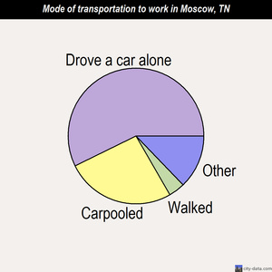 Moscow mode of transportation to work chart