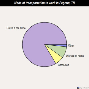 Pegram mode of transportation to work chart