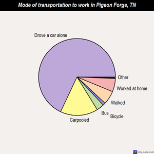 Pigeon Forge mode of transportation to work chart