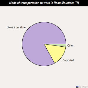 Roan Mountain mode of transportation to work chart