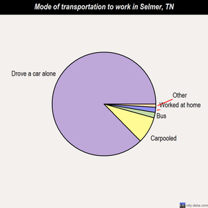 Selmer mode of transportation to work chart