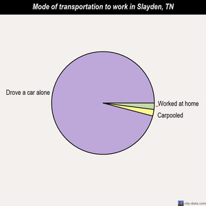Slayden mode of transportation to work chart