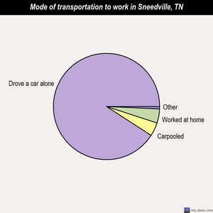 Sneedville mode of transportation to work chart