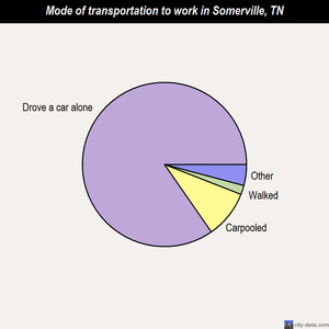 Somerville mode of transportation to work chart