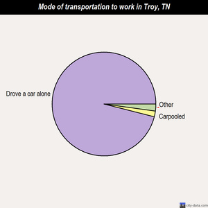 Troy mode of transportation to work chart