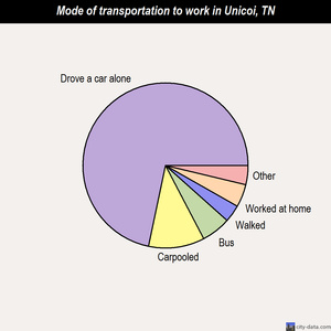 Unicoi mode of transportation to work chart
