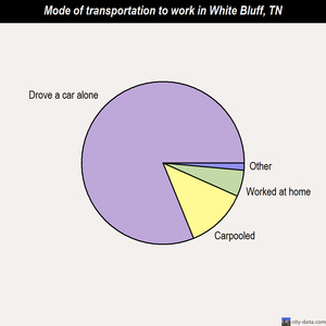 White Bluff mode of transportation to work chart