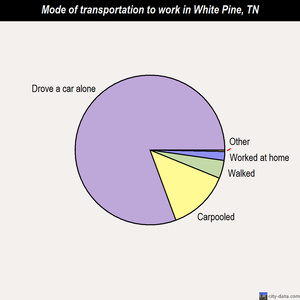 White Pine mode of transportation to work chart