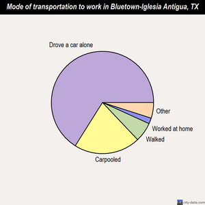 Bluetown-Iglesia Antigua mode of transportation to work chart