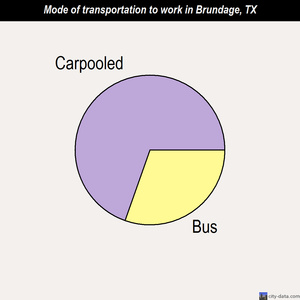 Brundage mode of transportation to work chart