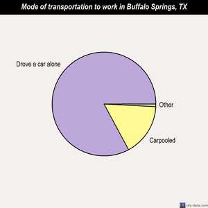 Buffalo Springs mode of transportation to work chart
