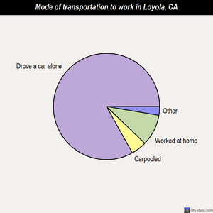 Loyola mode of transportation to work chart