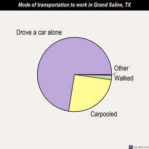 Grand Saline mode of transportation to work chart