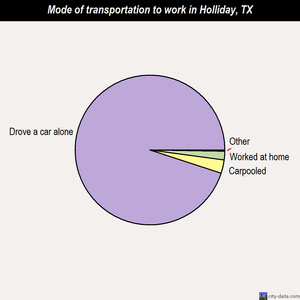 Holliday mode of transportation to work chart