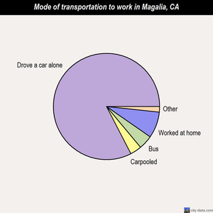 Magalia mode of transportation to work chart