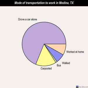 Medina mode of transportation to work chart