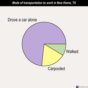 New Home mode of transportation to work chart