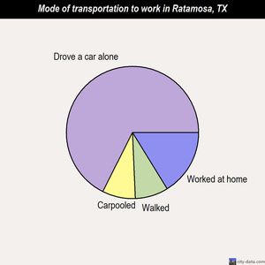 Ratamosa mode of transportation to work chart